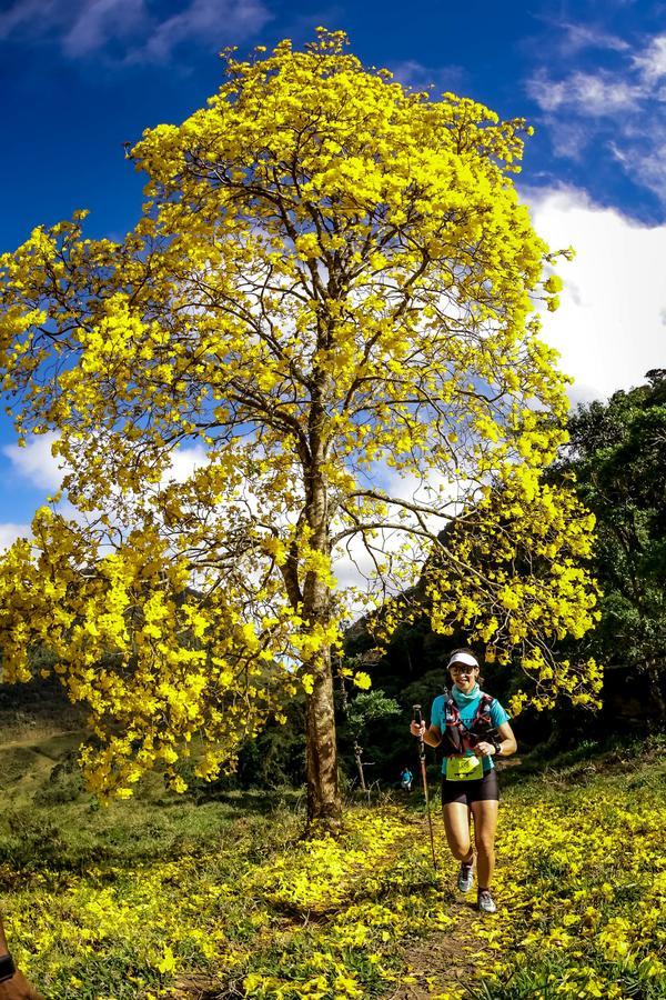 Buy your photos of the eventEvolution on Fotop