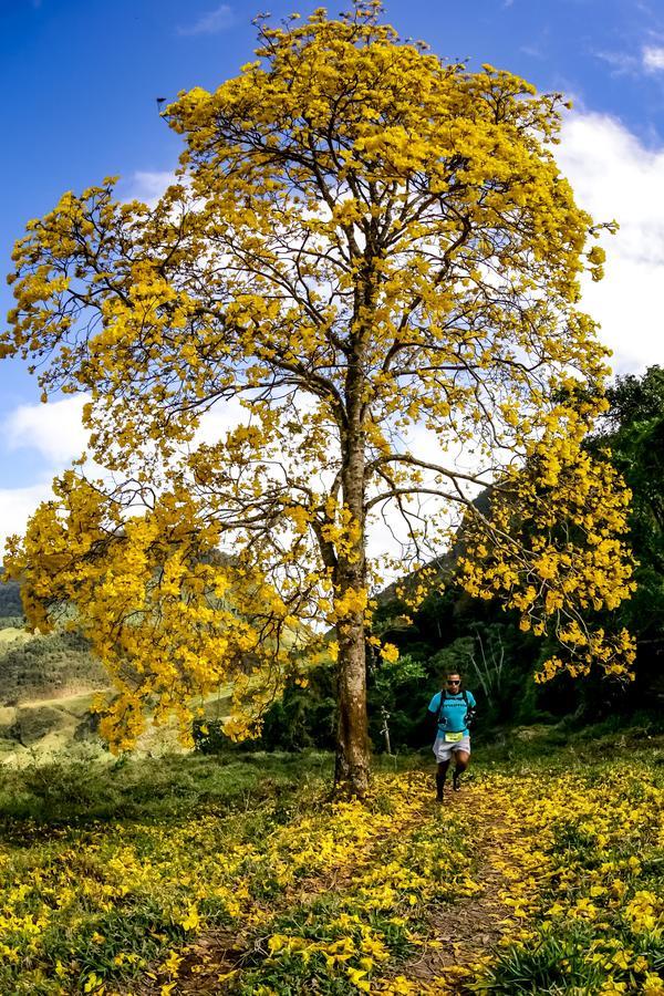 Buy your photos of the eventEvolution on Fotop