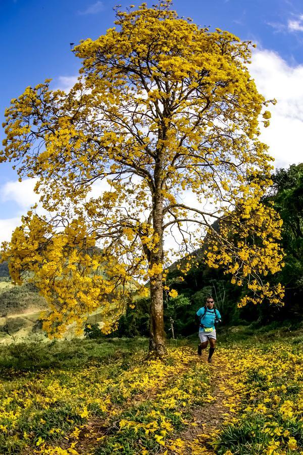 Buy your photos of the eventEvolution on Fotop