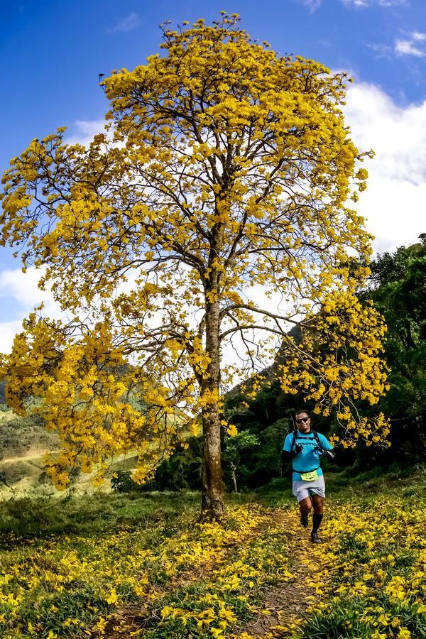 Buy your photos of the eventEvolution on Fotop