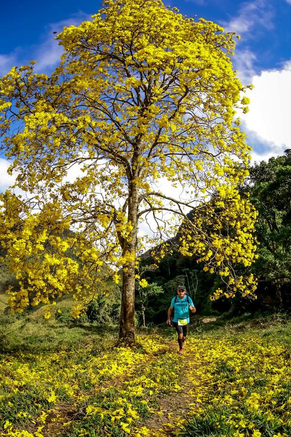 Buy your photos of the eventEvolution on Fotop