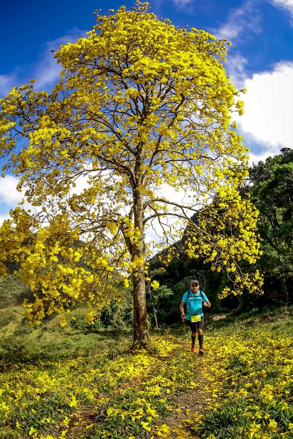 Buy your photos of the eventEvolution on Fotop