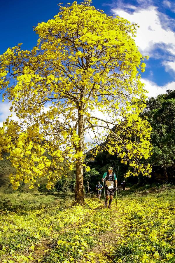 Buy your photos of the eventEvolution on Fotop