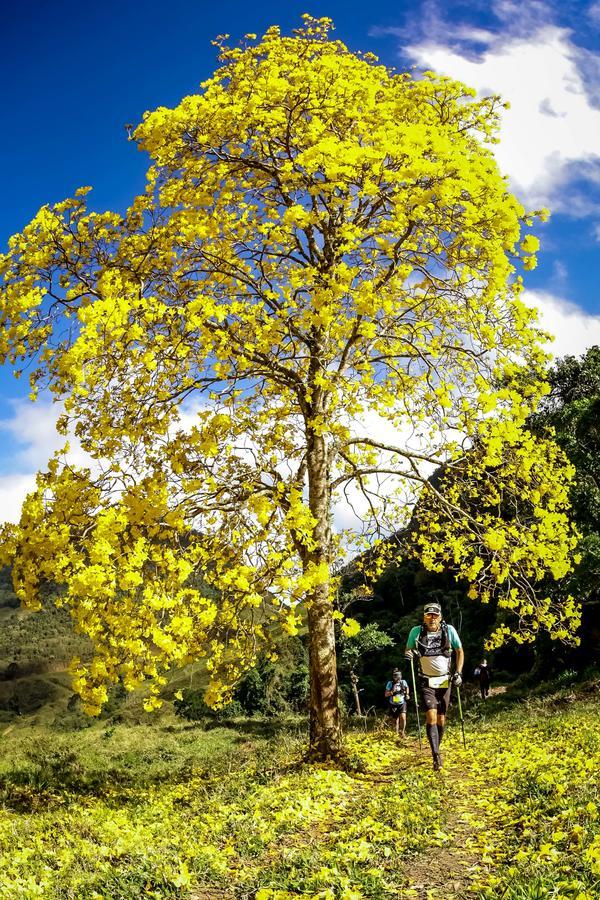 Buy your photos of the eventEvolution on Fotop