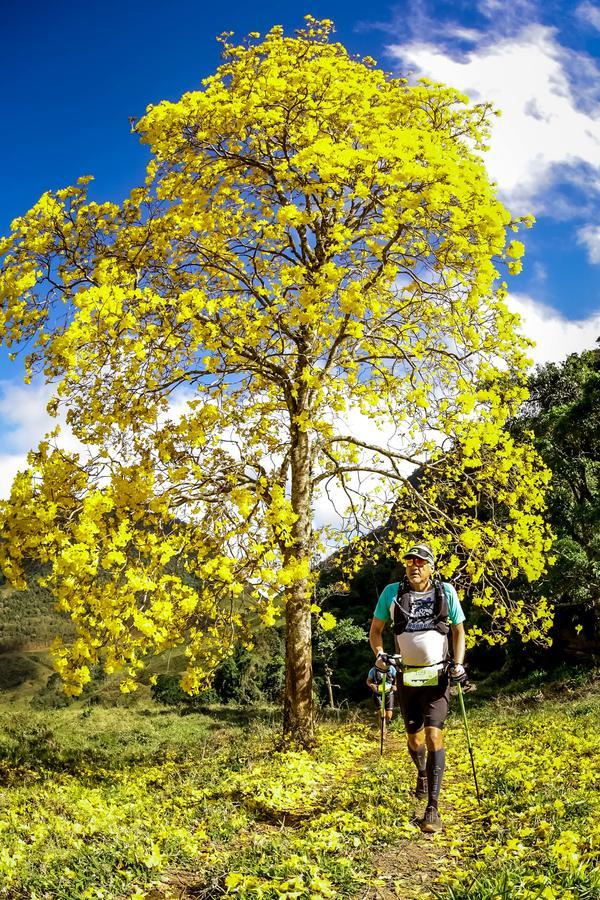 Buy your photos of the eventEvolution on Fotop