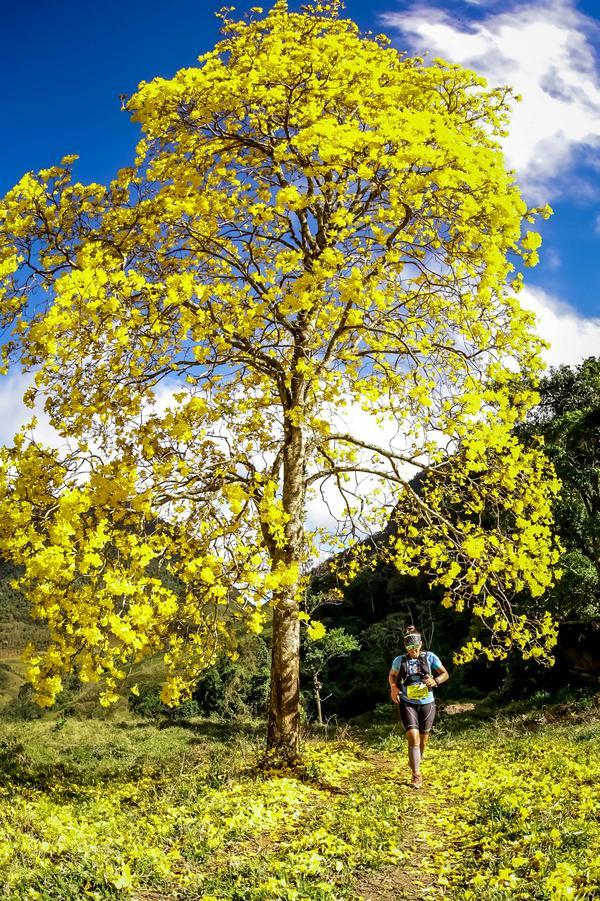 Buy your photos of the eventEvolution on Fotop