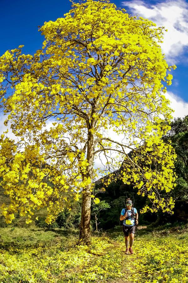 Buy your photos of the eventEvolution on Fotop