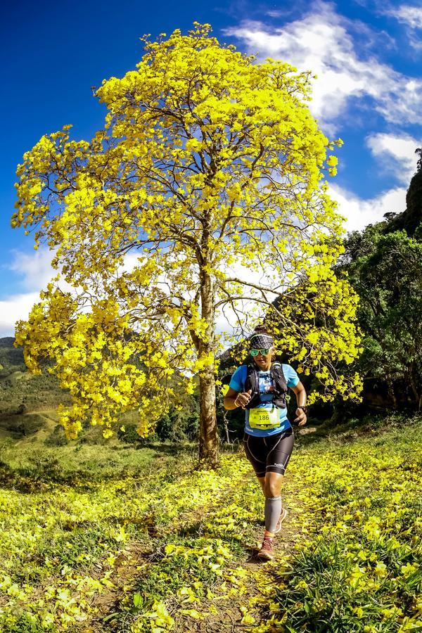 Buy your photos of the eventEvolution on Fotop