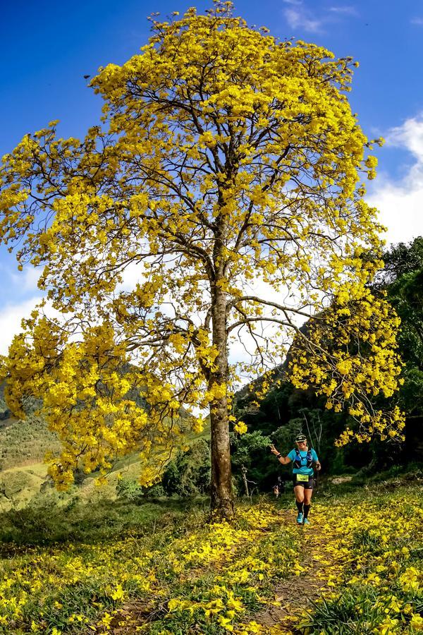 Buy your photos of the eventEvolution on Fotop