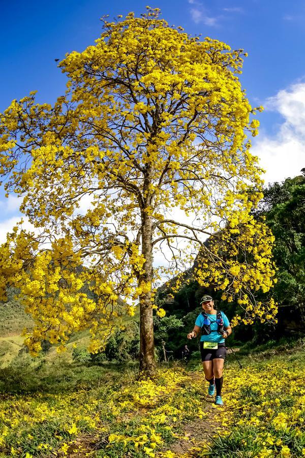 Buy your photos of the eventEvolution on Fotop