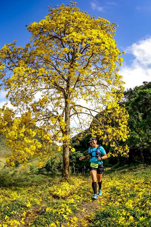 Buy your photos of the eventEvolution on Fotop