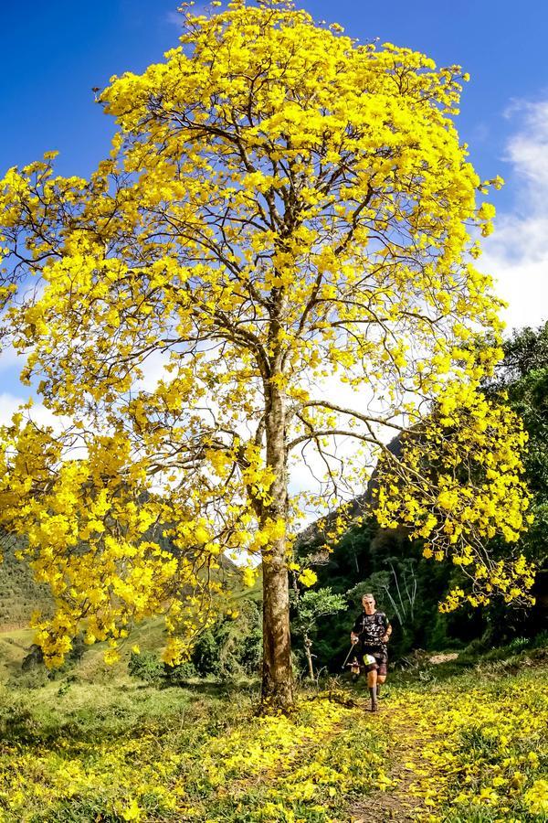 Buy your photos of the eventEvolution on Fotop