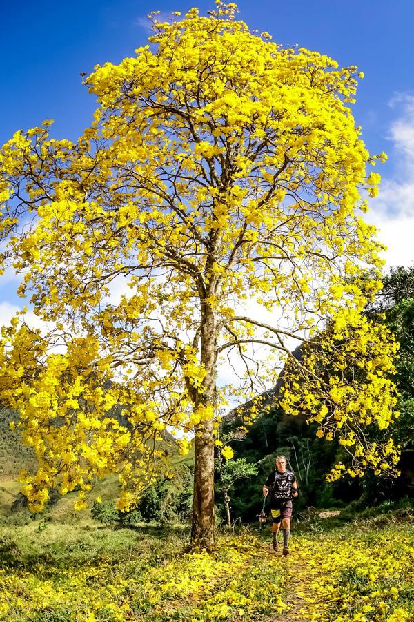 Buy your photos of the eventEvolution on Fotop