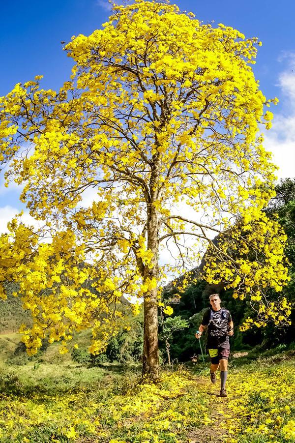 Buy your photos of the eventEvolution on Fotop