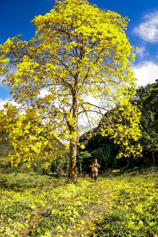 Buy your photos of the eventEvolution on Fotop