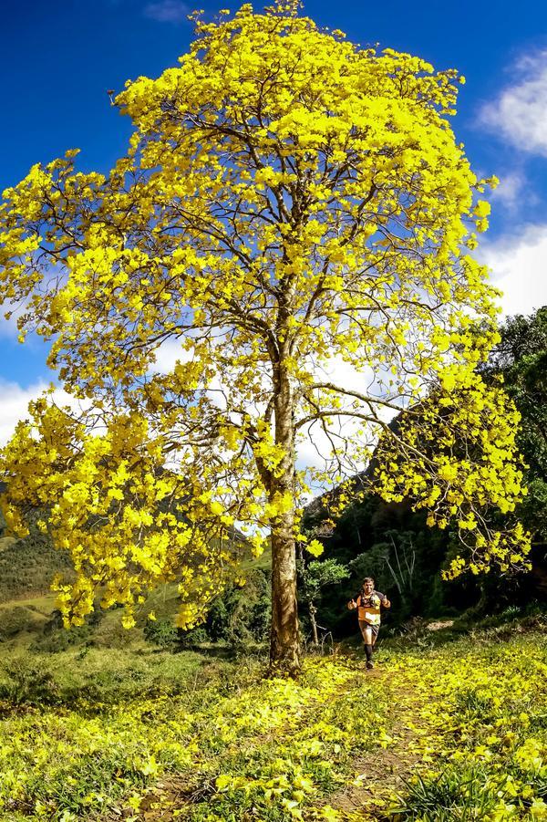 Buy your photos of the eventEvolution on Fotop