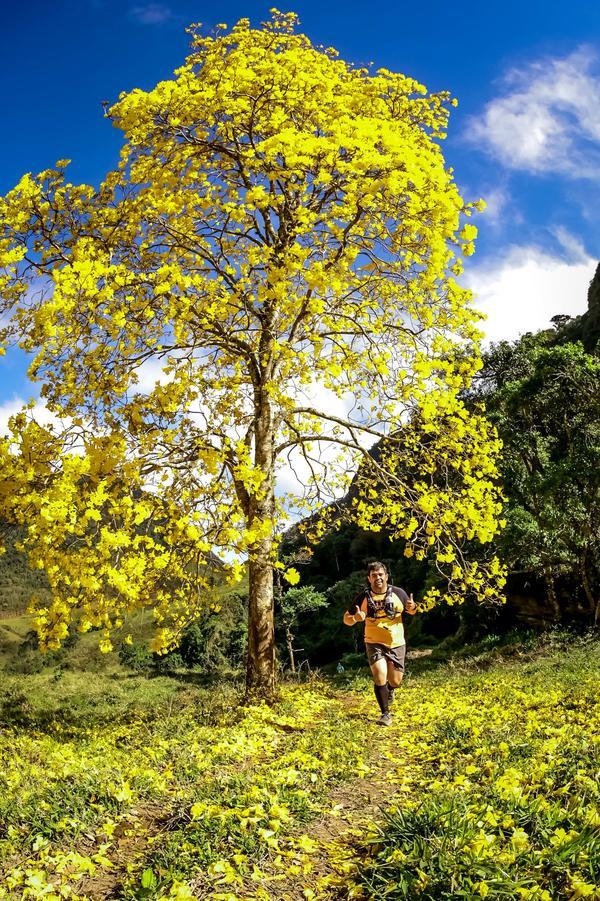 Buy your photos of the eventEvolution on Fotop