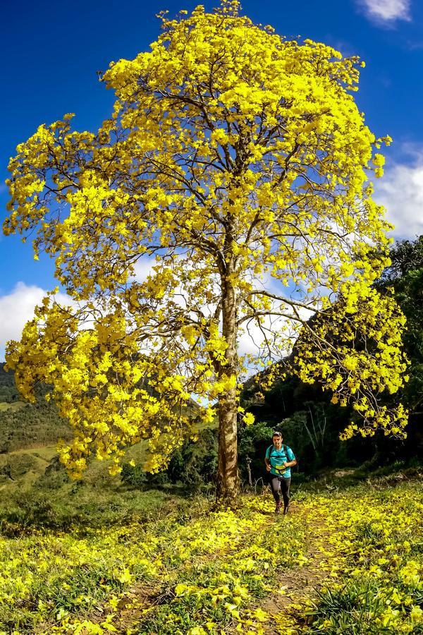 Buy your photos of the eventEvolution on Fotop