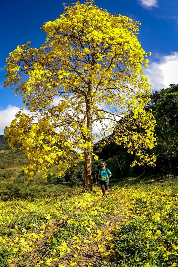 Buy your photos of the eventEvolution on Fotop