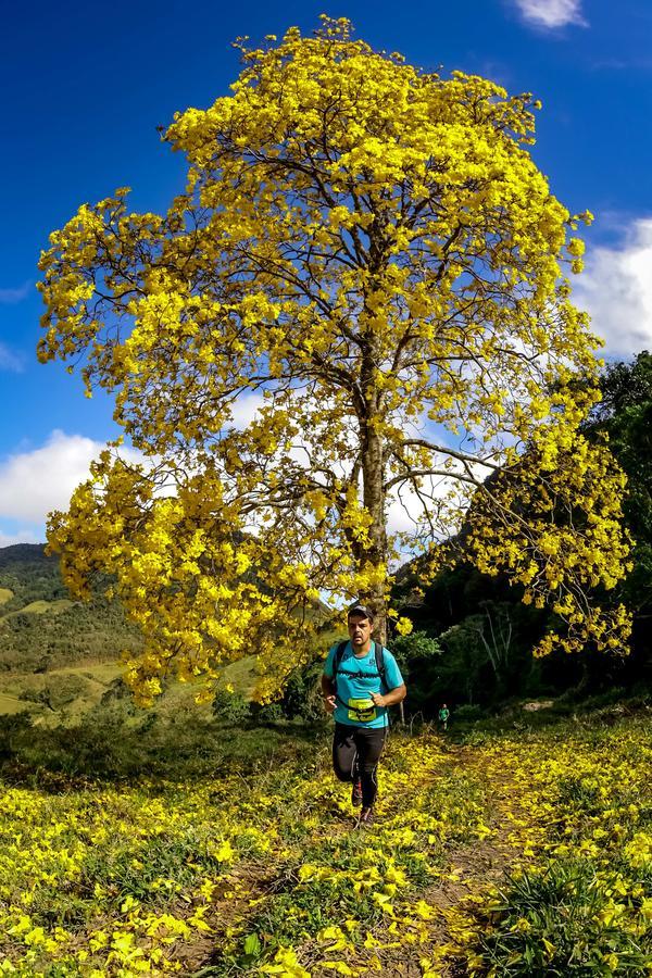 Buy your photos of the eventEvolution on Fotop