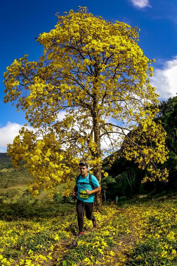 Buy your photos of the eventEvolution on Fotop