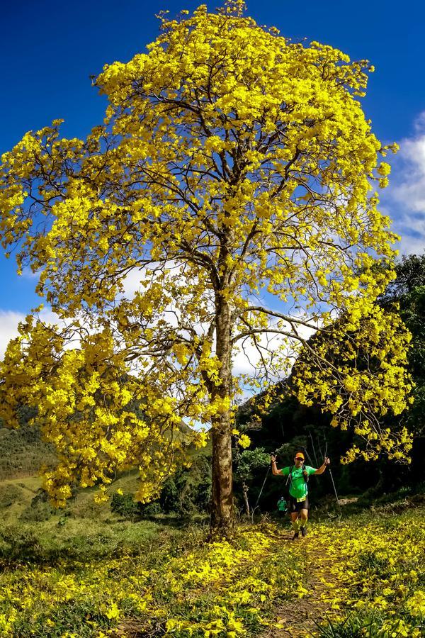 Buy your photos of the eventEvolution on Fotop