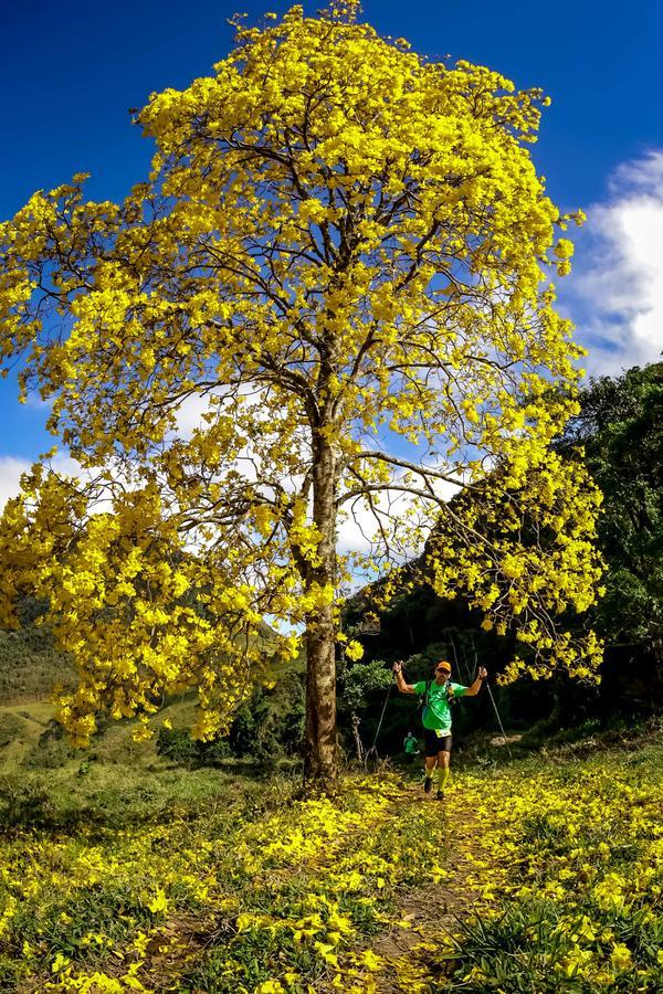 Buy your photos of the eventEvolution on Fotop