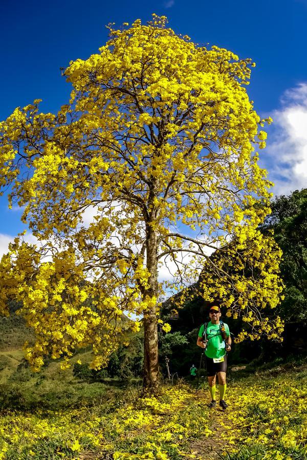 Buy your photos of the eventEvolution on Fotop