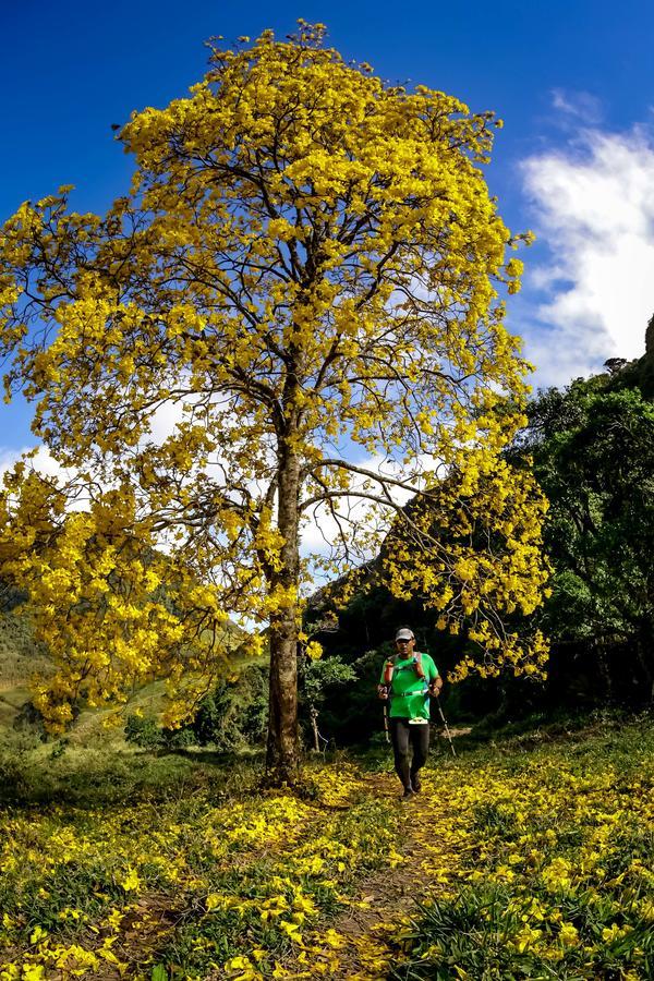 Buy your photos of the eventEvolution on Fotop