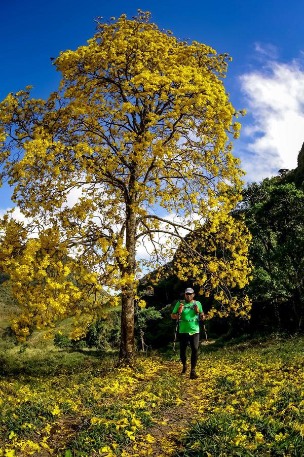 Buy your photos of the eventEvolution on Fotop