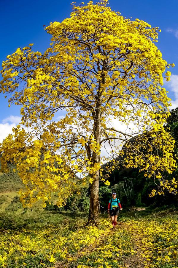 Buy your photos of the eventEvolution on Fotop