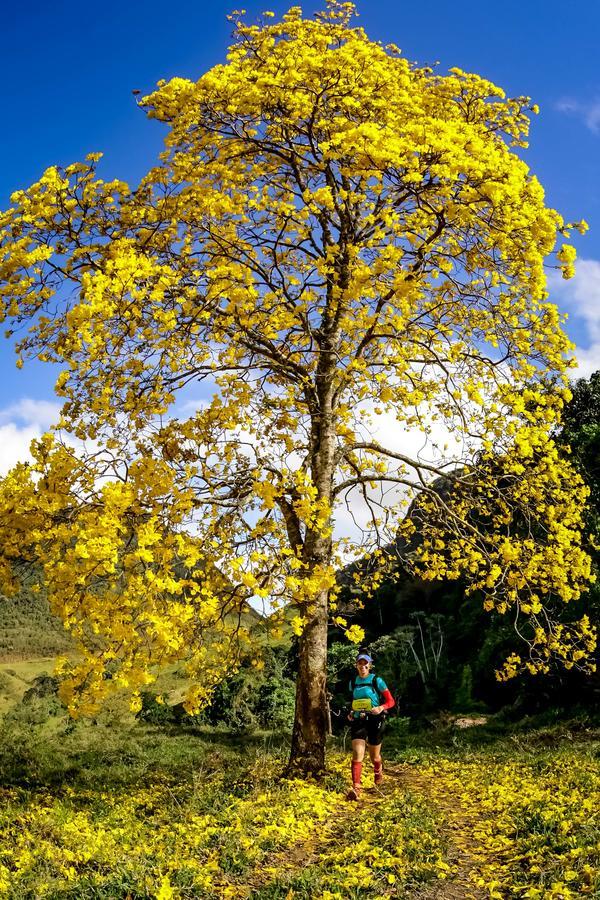 Buy your photos of the eventEvolution on Fotop