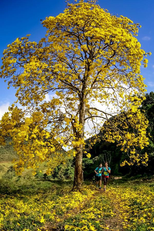 Buy your photos of the eventEvolution on Fotop