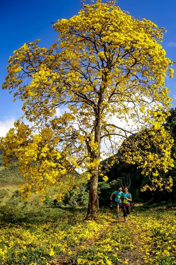 Buy your photos of the eventEvolution on Fotop