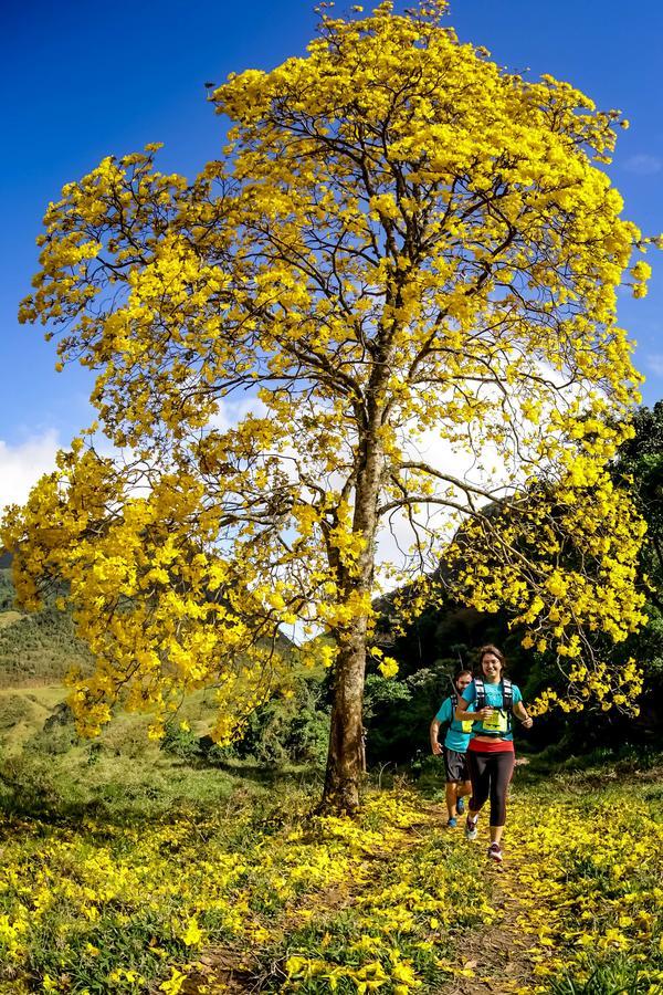 Buy your photos of the eventEvolution on Fotop