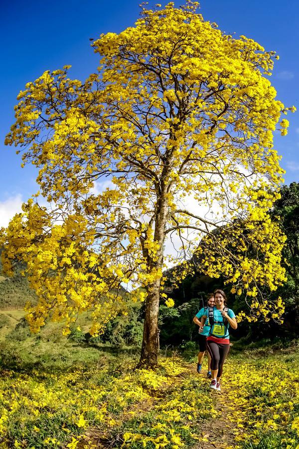 Buy your photos of the eventEvolution on Fotop