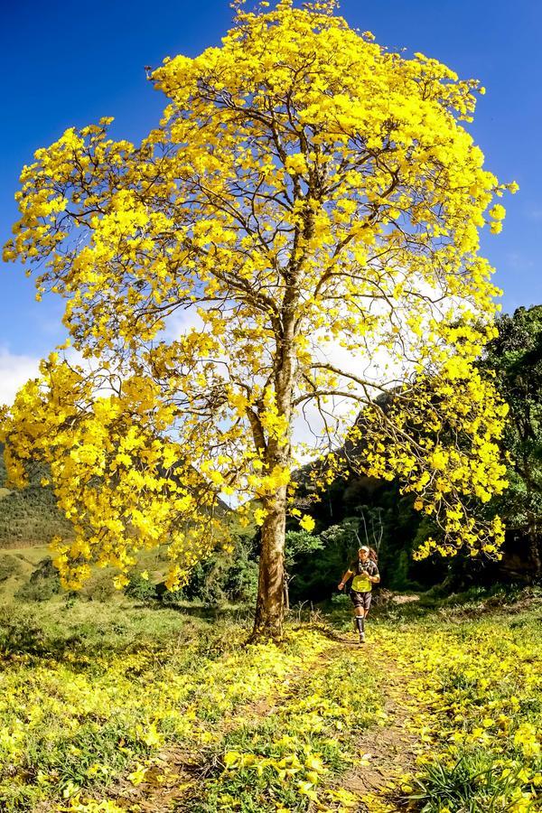 Buy your photos of the eventEvolution on Fotop