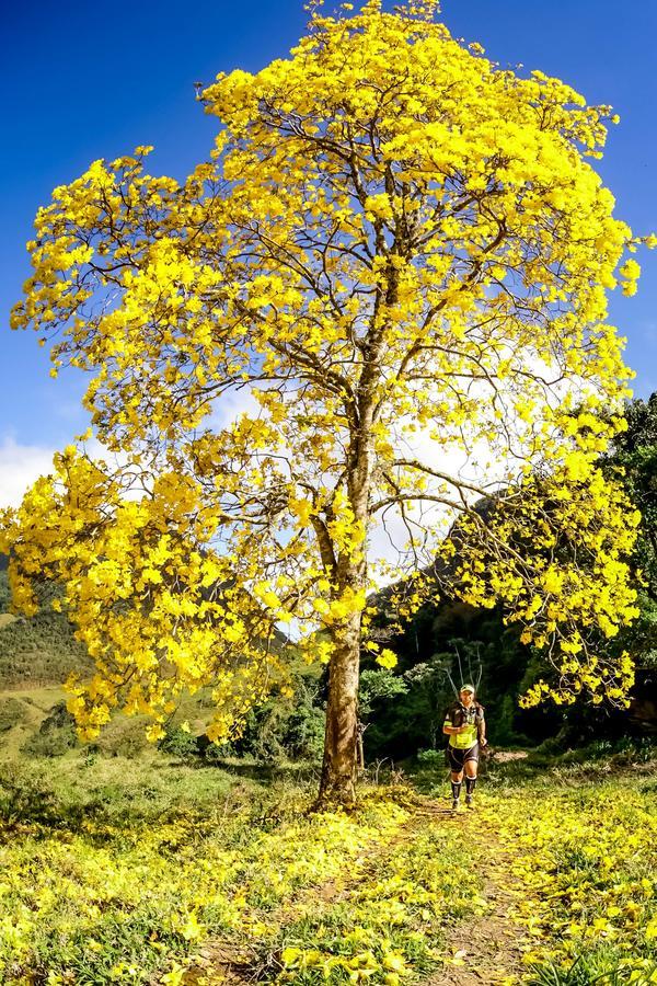 Buy your photos of the eventEvolution on Fotop