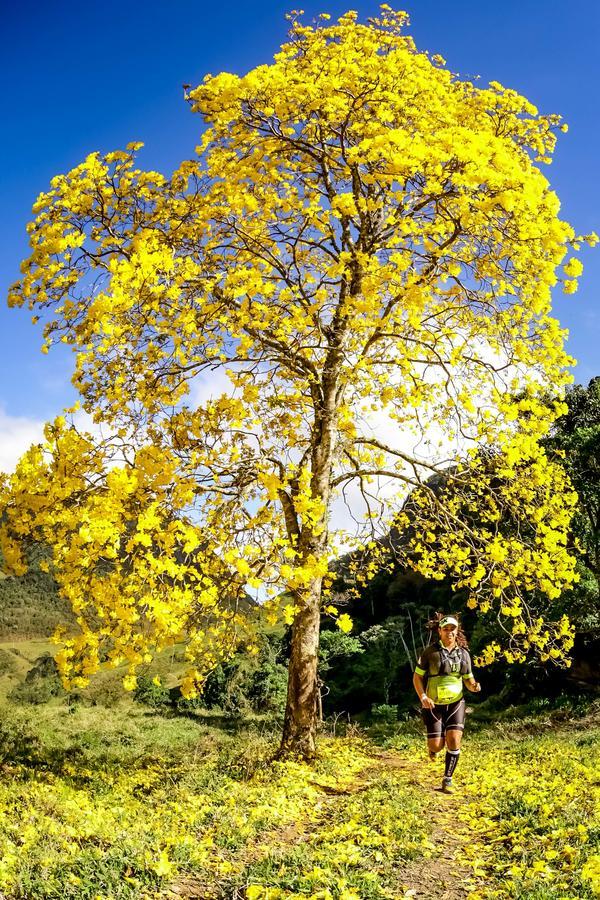 Buy your photos of the eventEvolution on Fotop