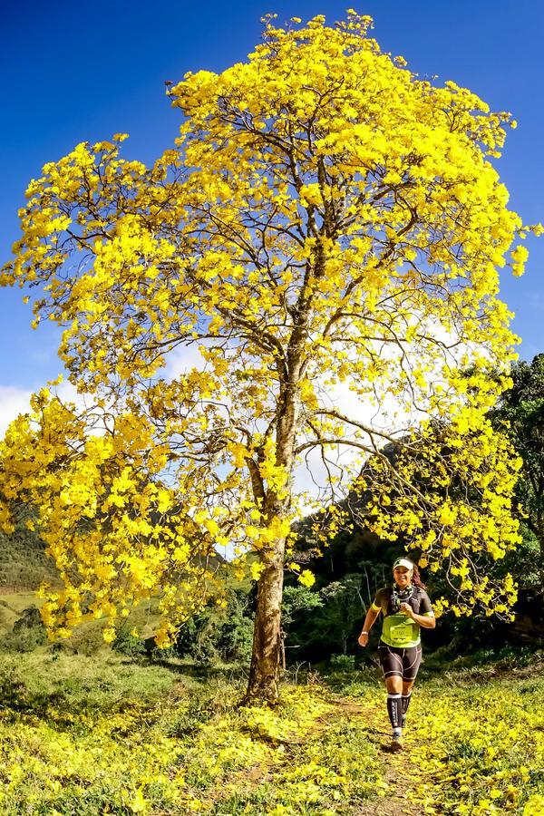 Buy your photos of the eventEvolution on Fotop