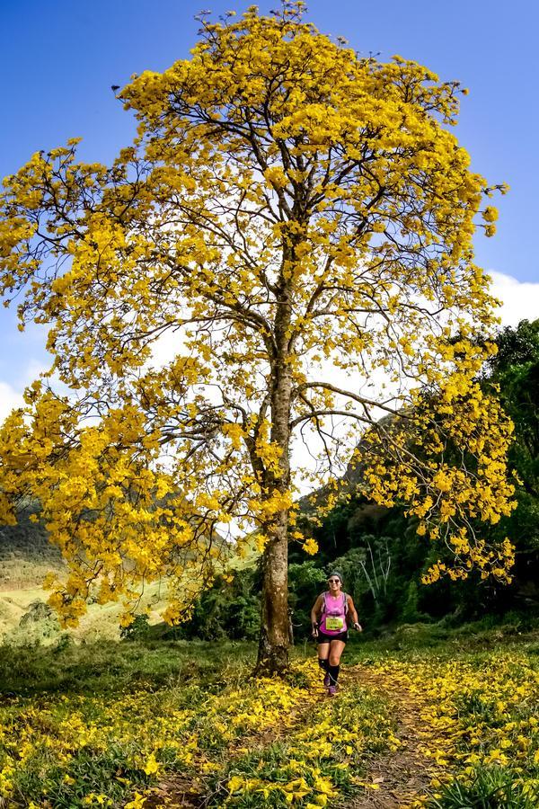 Buy your photos of the eventEvolution on Fotop