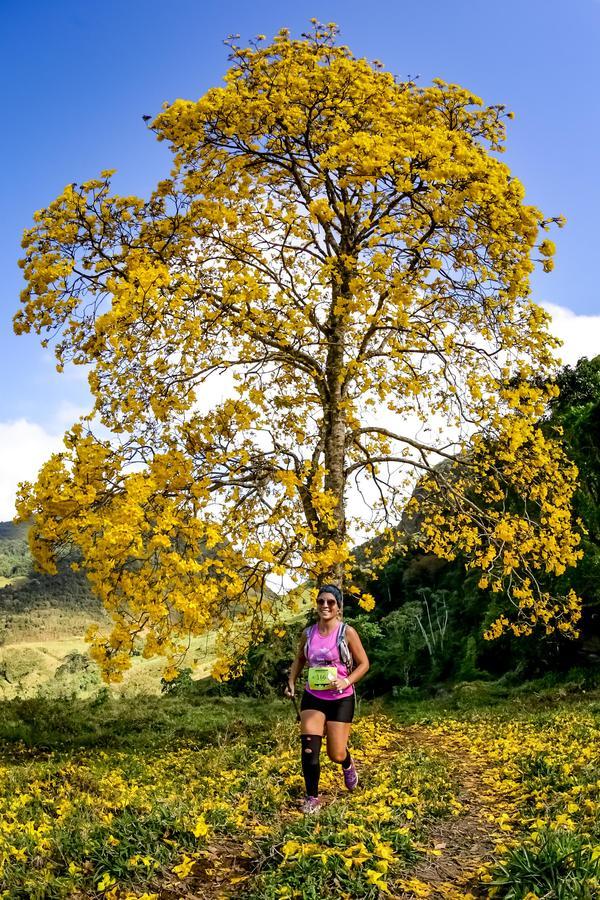 Buy your photos of the eventEvolution on Fotop