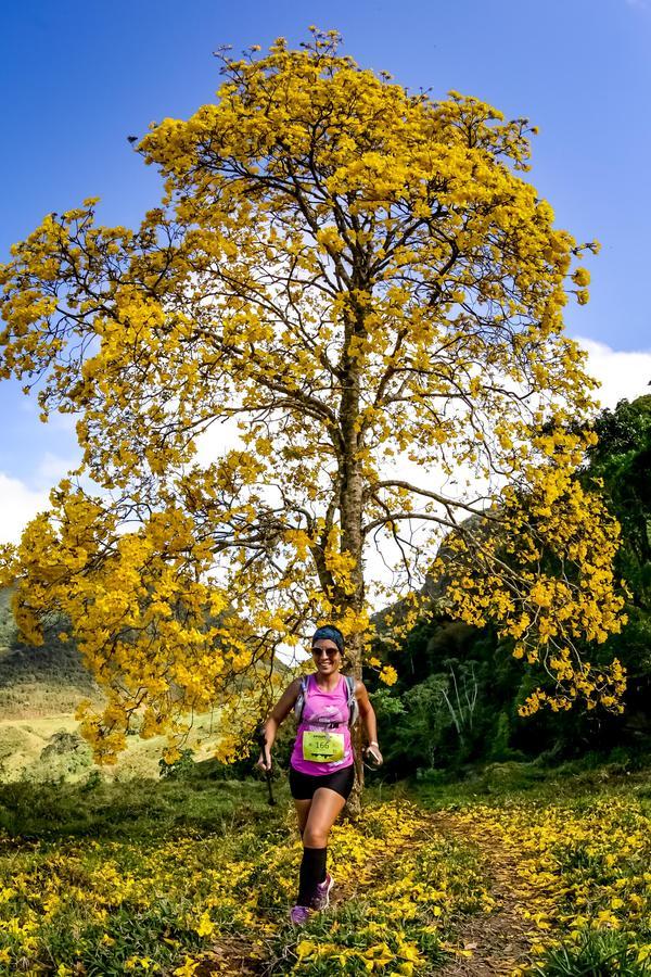 Buy your photos of the eventEvolution on Fotop