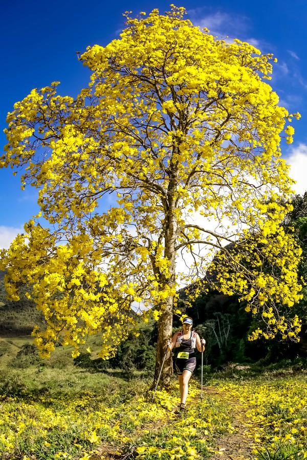 Buy your photos of the eventEvolution on Fotop