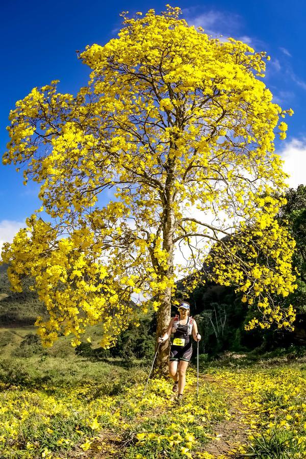 Buy your photos of the eventEvolution on Fotop