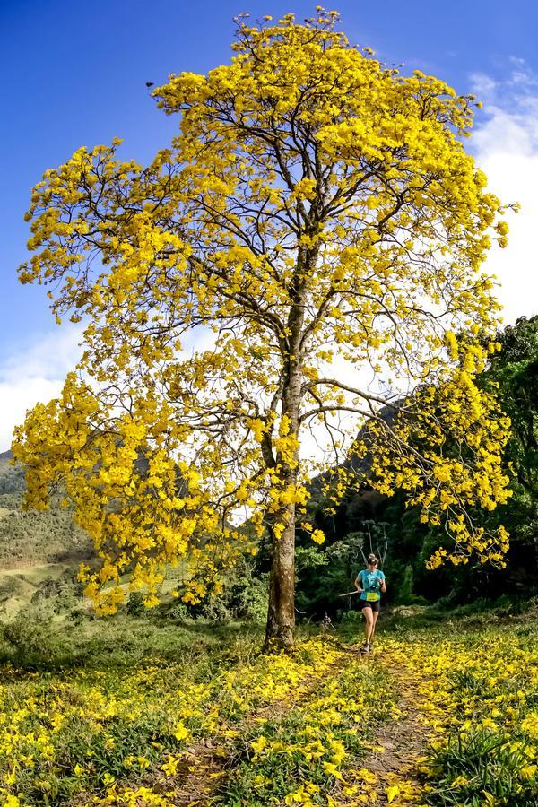 Buy your photos of the eventEvolution on Fotop