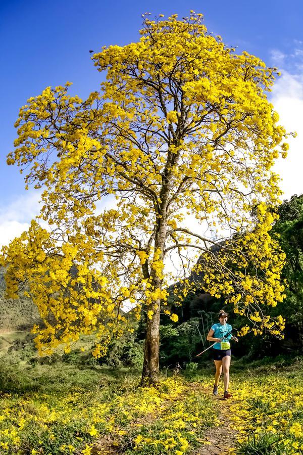 Buy your photos of the eventEvolution on Fotop