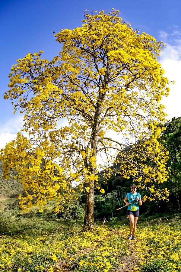 Buy your photos of the eventEvolution on Fotop