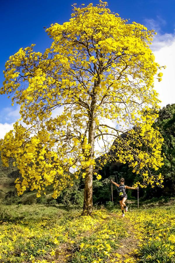 Buy your photos of the eventEvolution on Fotop