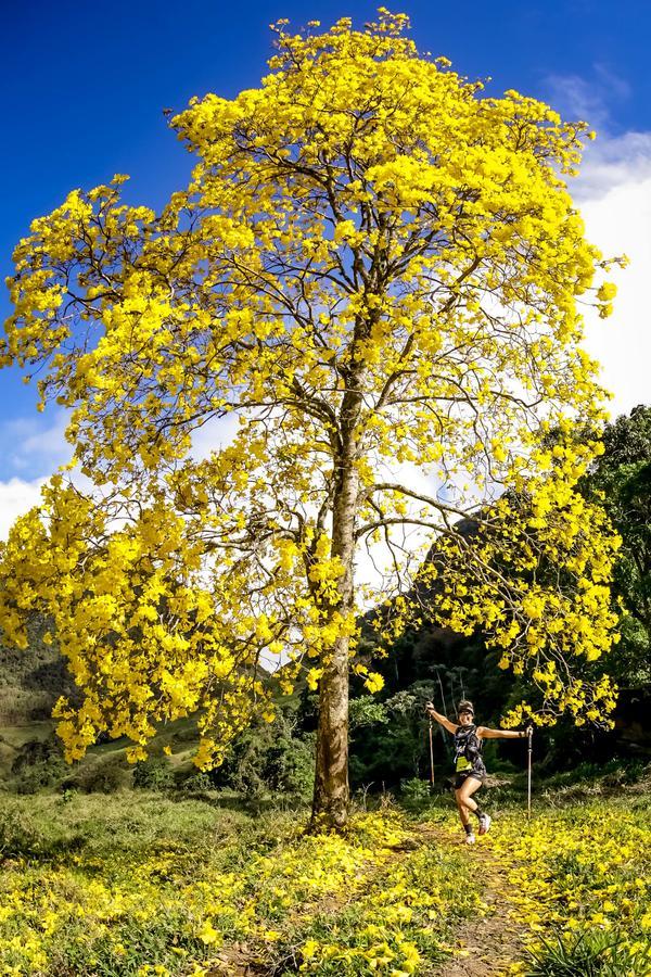 Buy your photos of the eventEvolution on Fotop